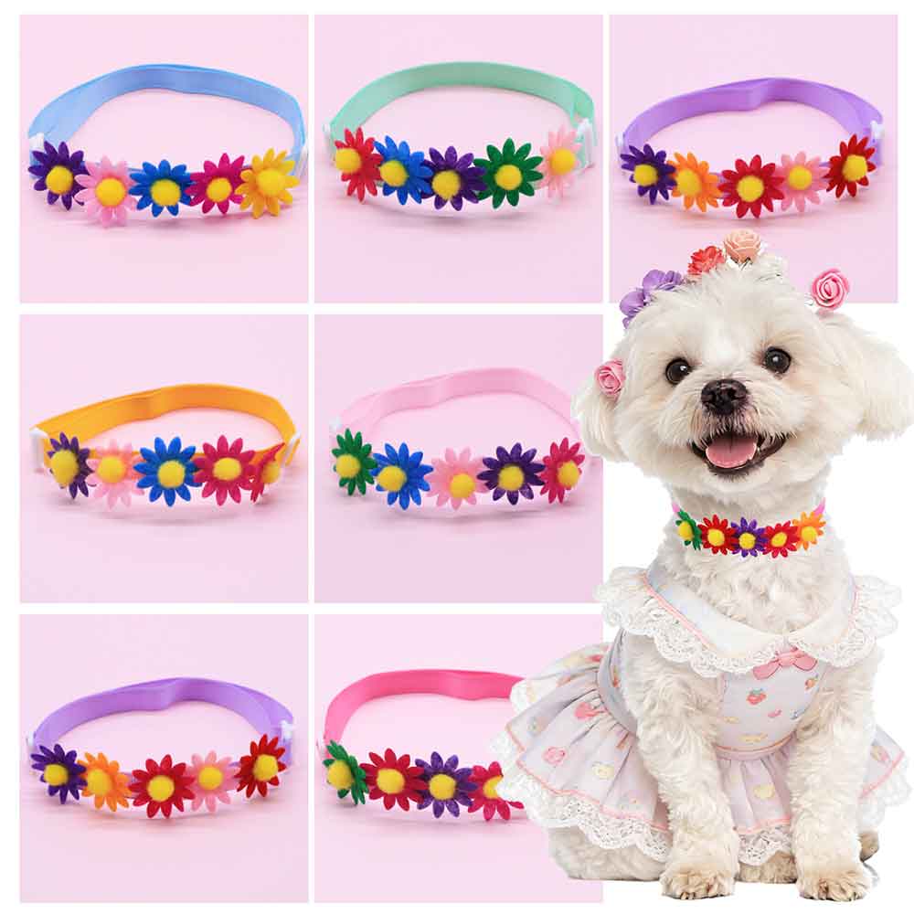 Pet Supplies Hours - 50 Stück bunte Hundeschleifen, Blumen-Accessoires für