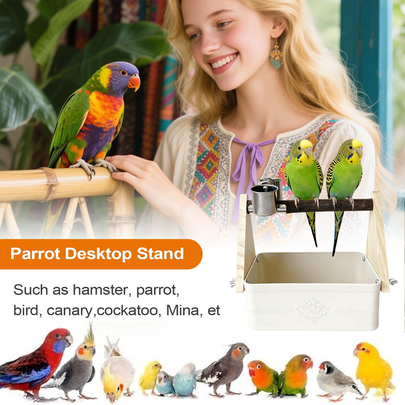 Pet Supplies Zoo - Vogel-Tischständer mit Eimer für Sittiche, Trainingszubehör,
