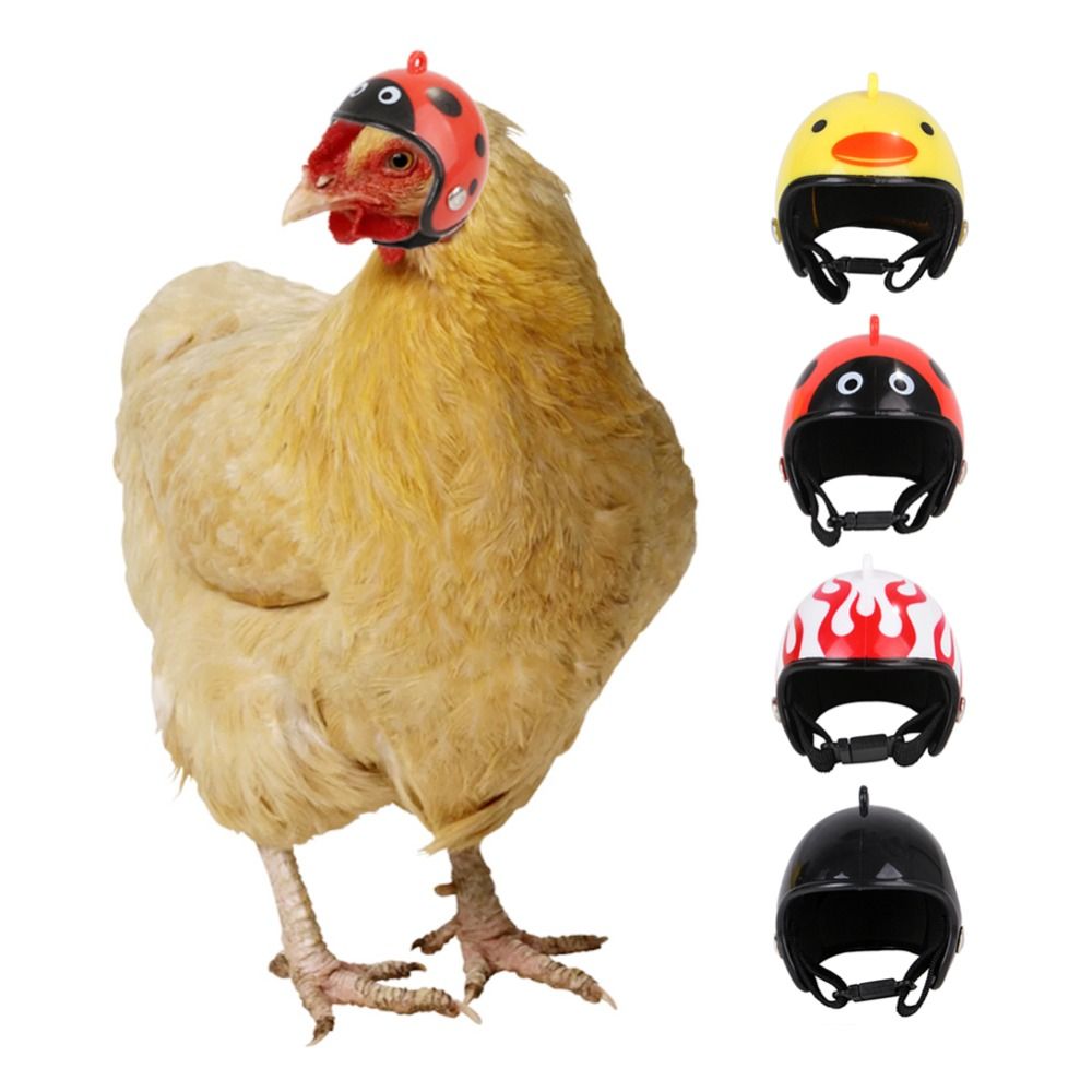 Pet X Supplies & Tack - ABS Haustierzubehör Lustiger Schutzhelm für Haustiere