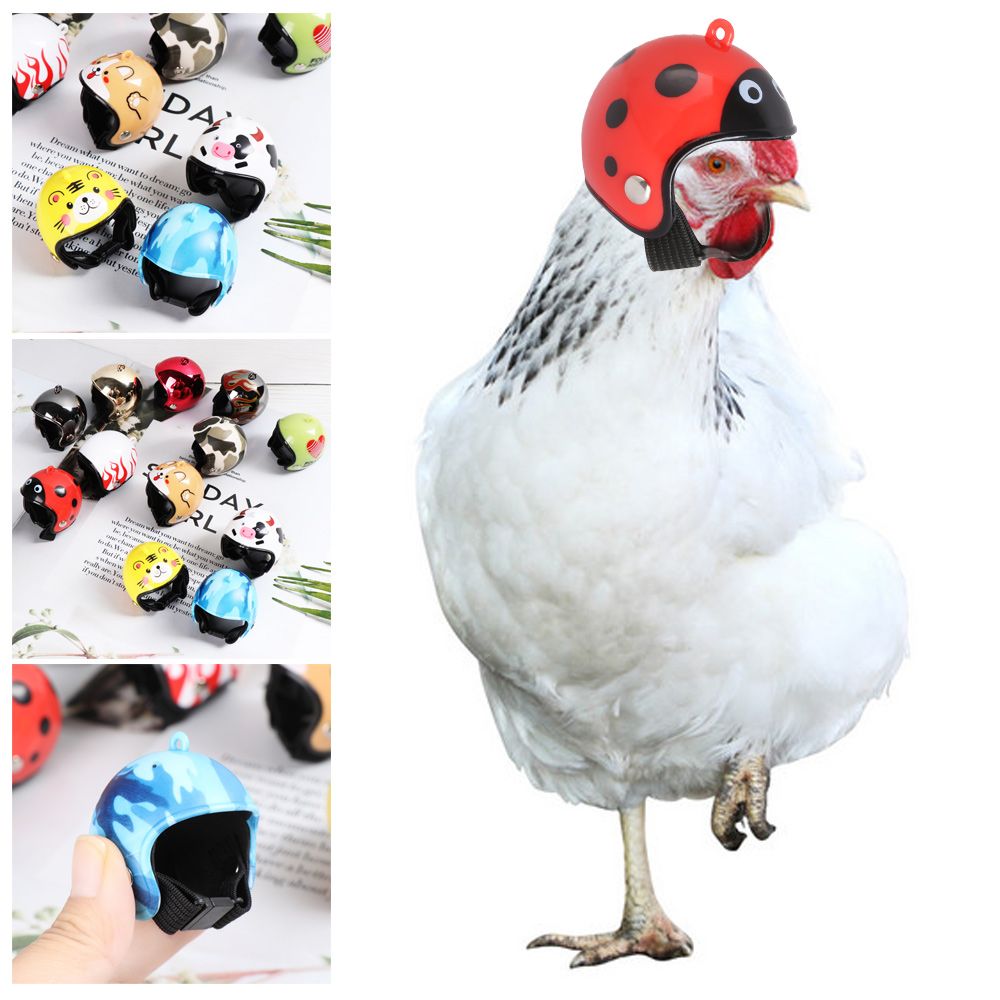 Pet X Supplies & Tack - ABS Lustige Haustierzubehör Schutzhelm für Vögel