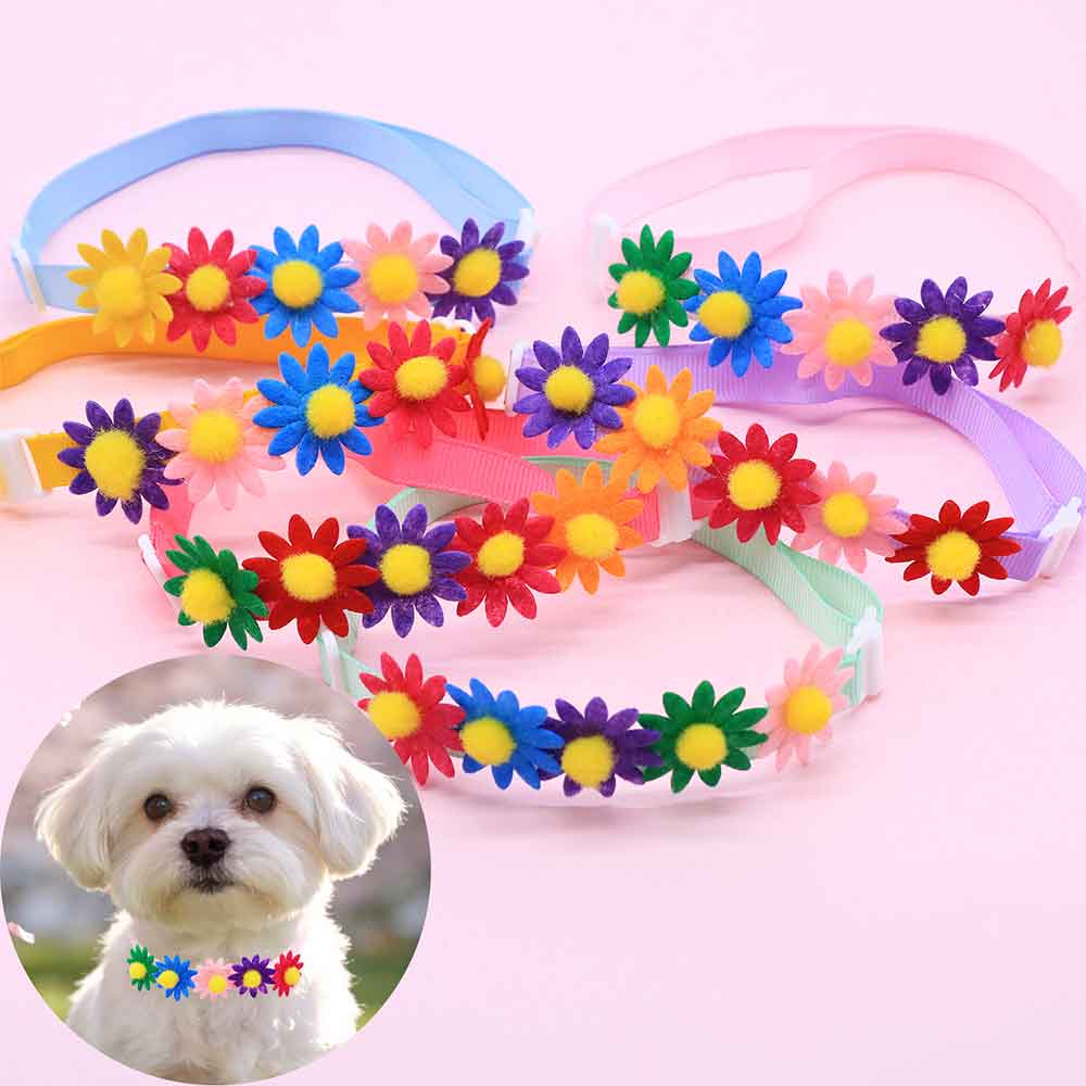 50 Stück bunte Hundeschleifen, – Pet Supplies Hours Bewertung und Preis