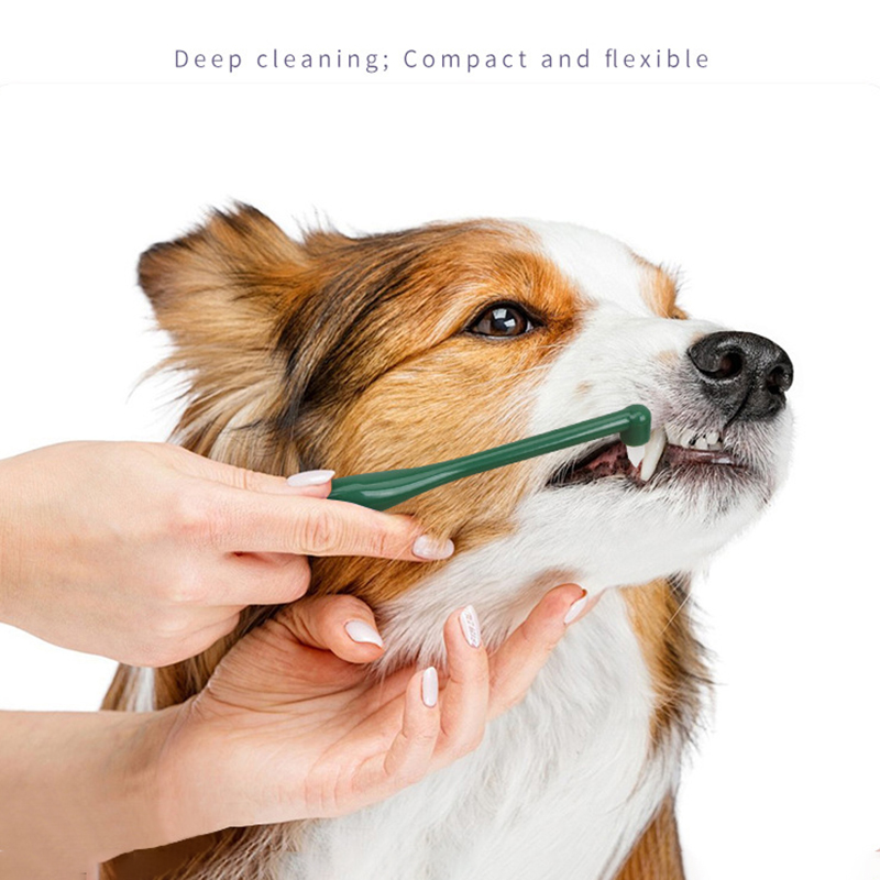 Mikrokopf-Zahnbürste für Hunde – Pet Supplies Hours Bewertung und Preis