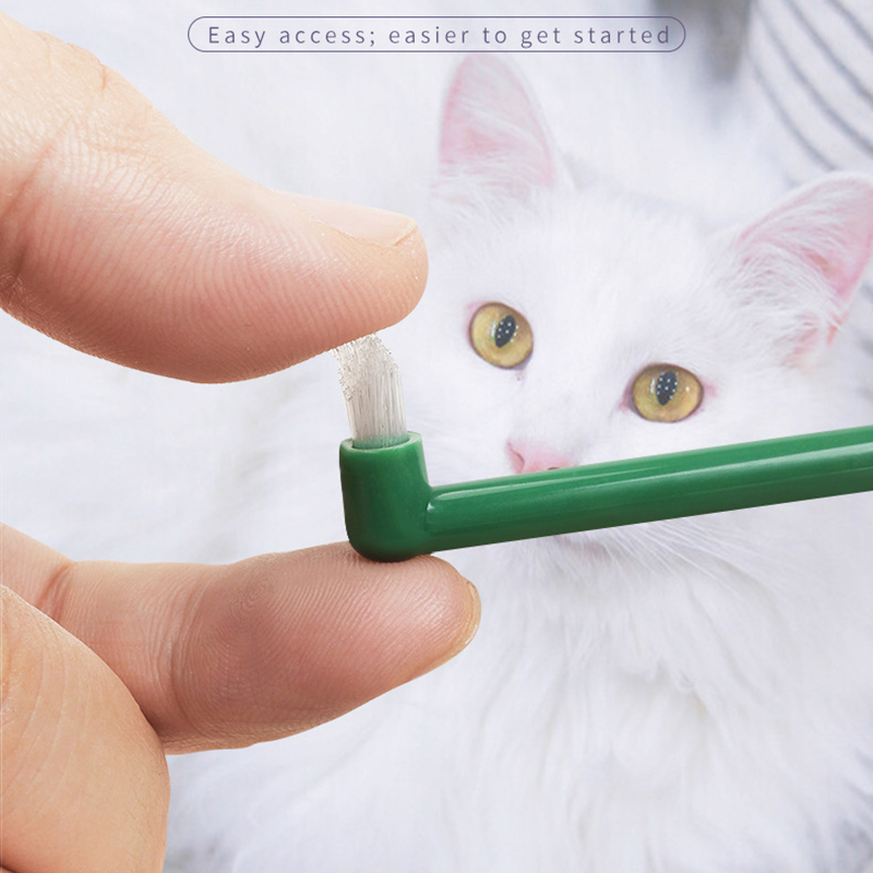Mikrokopf-Zahnbürste für Hunde – Pet Supplies Hours Bewertung und Preis