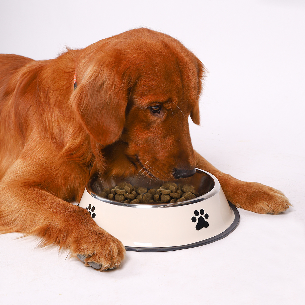 Edelstahl-Futternapf mit große – Pet Supplies Hours Bewertung und Preis