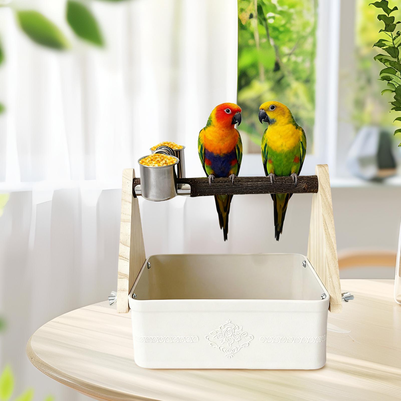 Vogel-Tischständer mit Eimer f – Pet Supplies Zoo Bewertung und Preis