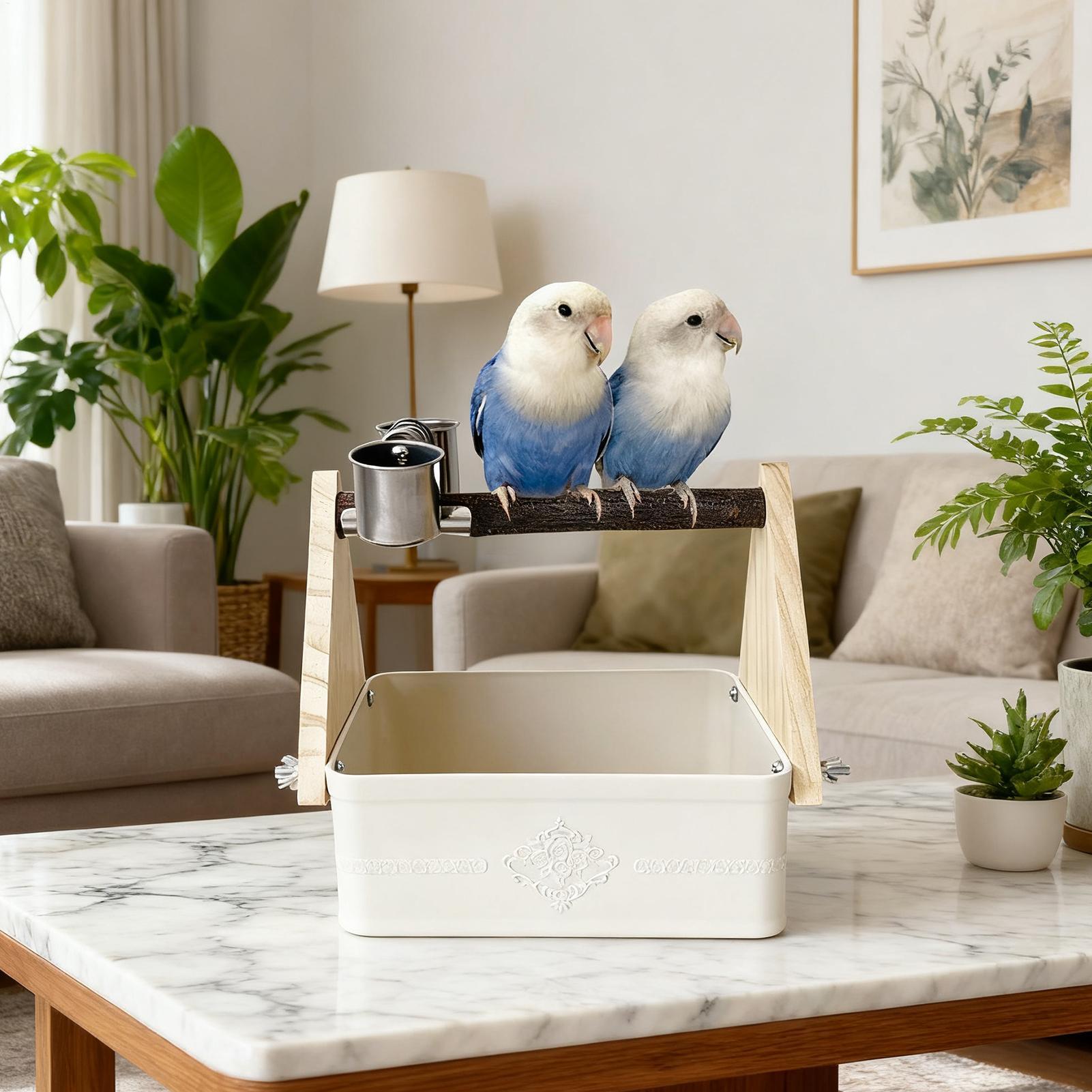 Vogel-Tischständer mit Eimer f – Pet Supplies Zoo Bewertung und Preis