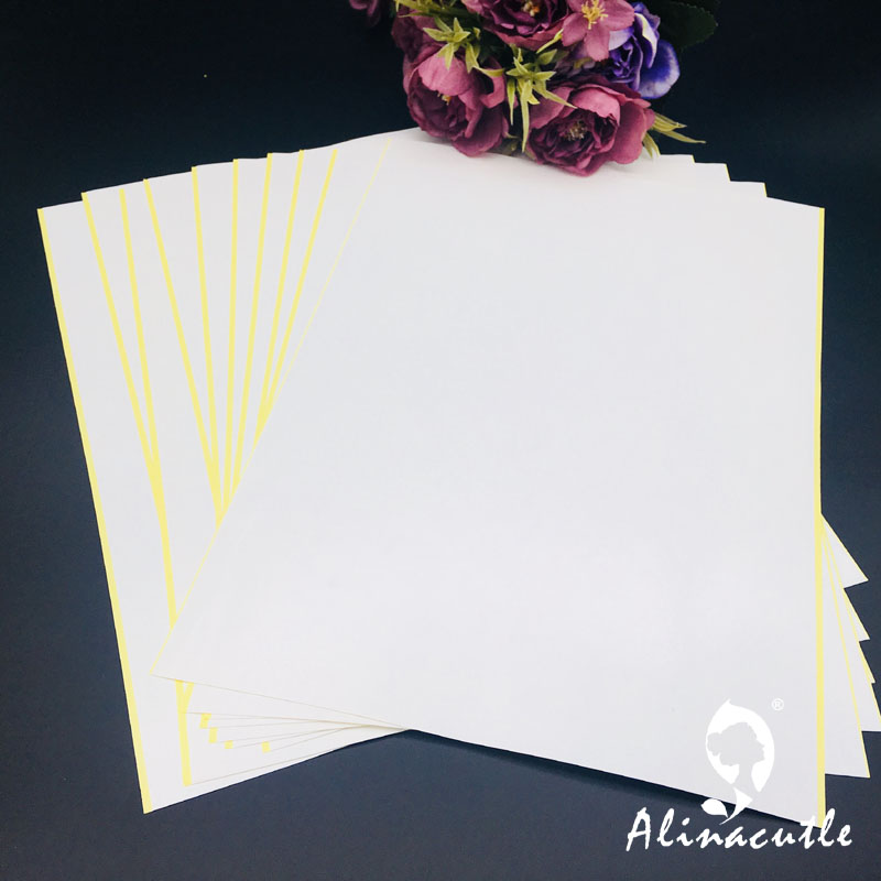 10PC X A4 Doppelseitiges Klebe – Pet X Supplies & Tack Bewertung und Preis