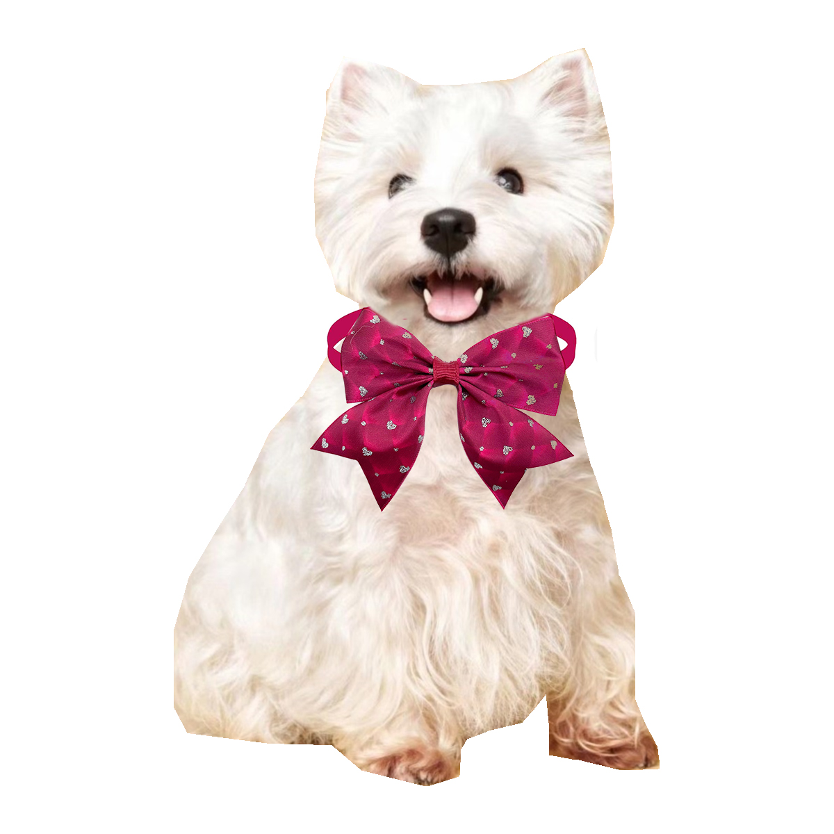 50/100 stücke Hund Fliege Lieb – Pet Supplies Hours Bewertung und Preis
