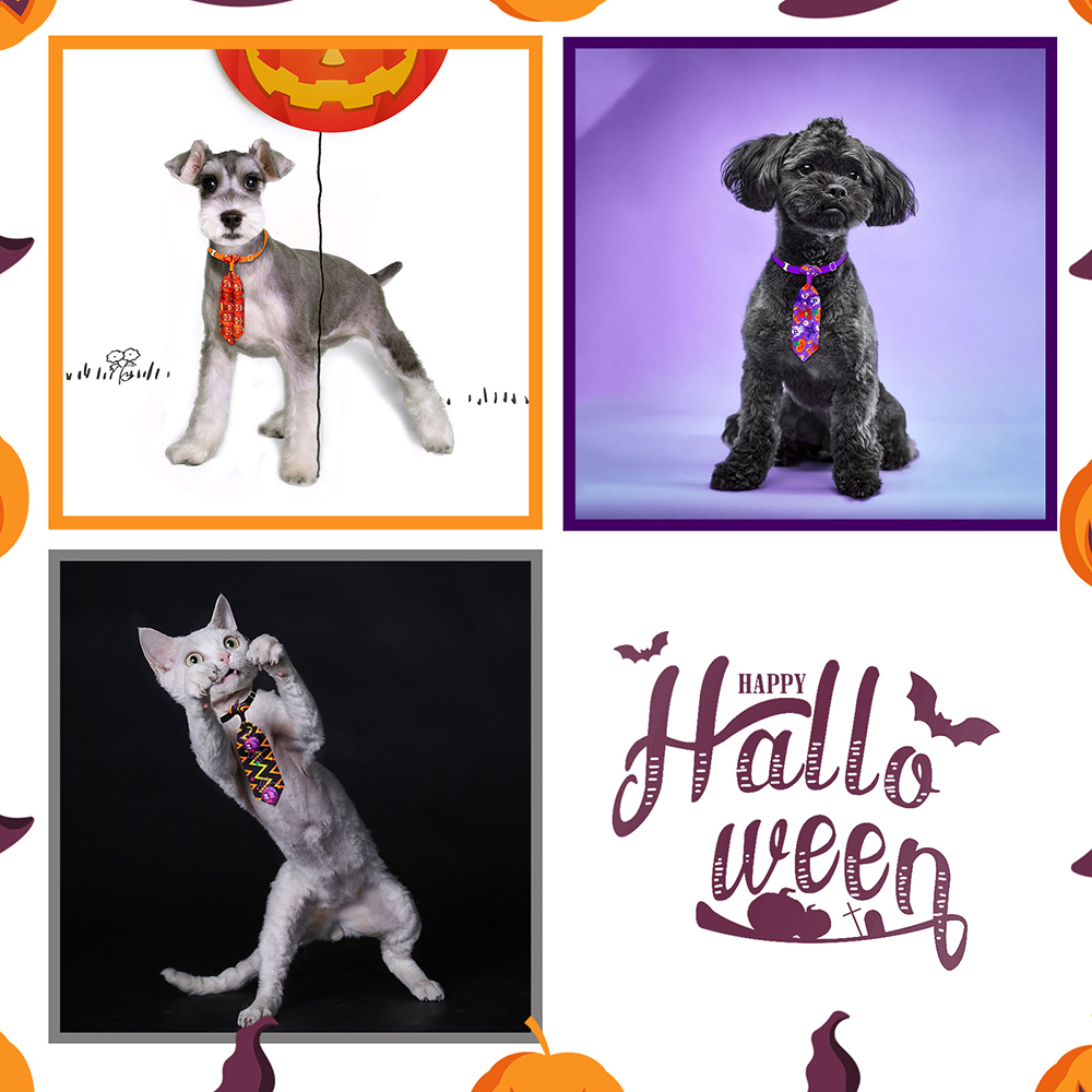50/100 stücke Halloween Hund P – Pet Supplies Hours Bewertung und Preis