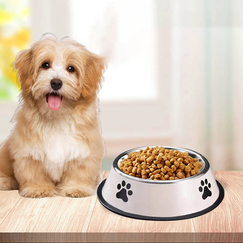 Edelstahl-Futterschüssel für H – Pet Supplies Hours Bewertung und Preis