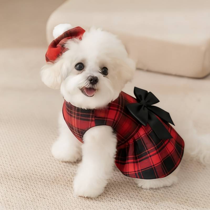 Hundekleidung Kariertes Hemd A – Pet Supplies Co Bewertung und Preis