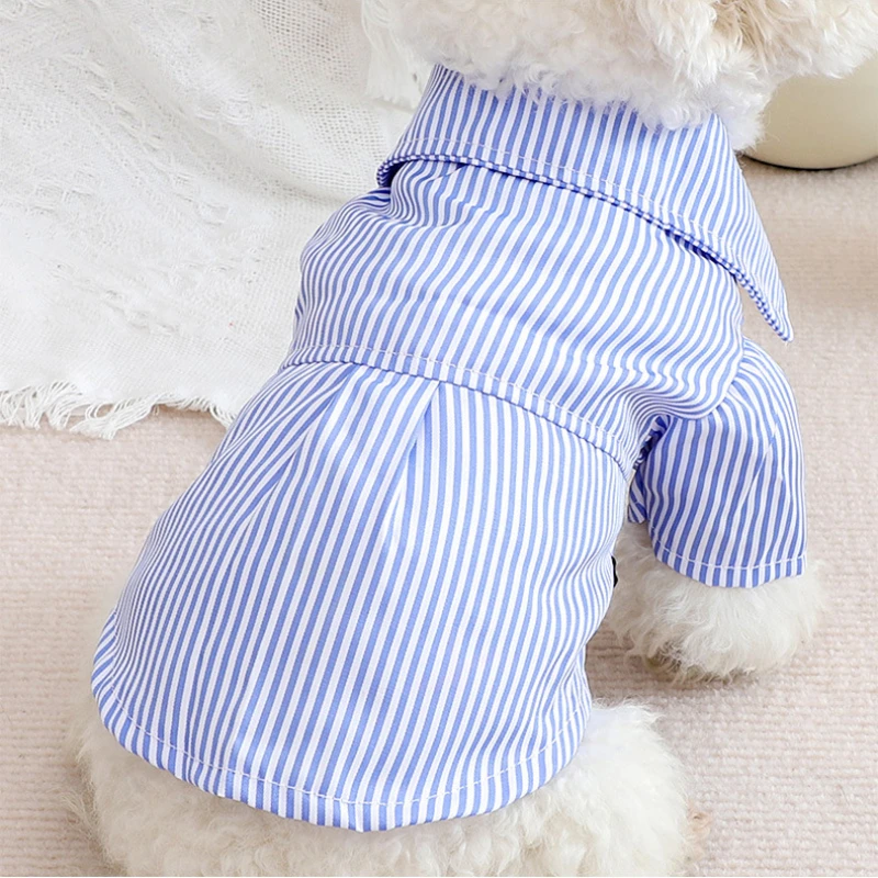Haustier Hund Kleidung Bowknot – Pet Supplies Co Bewertung und Preis