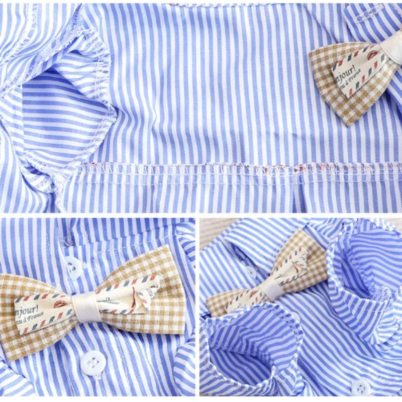 Haustier Hund Kleidung Bowknot – Pet Supplies Co Bewertung und Preis