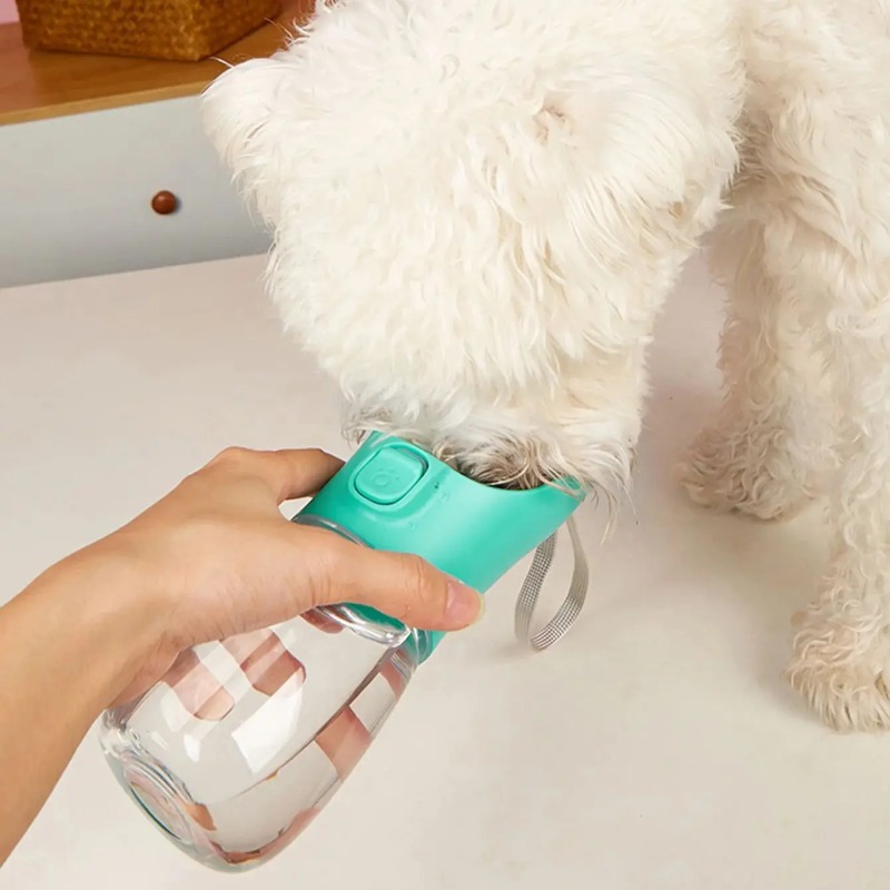 Tragbare Wasserflasche für gro – Pet Supplies Hours Bewertung und Preis